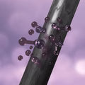 Biotina